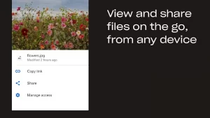 Dropbox: Cloud Storage Space