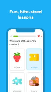 Duolingo: language lessons