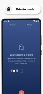 Opera Browser: Fast & Private